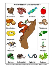 AB-Eichhörnchen-Nahrung.pdf